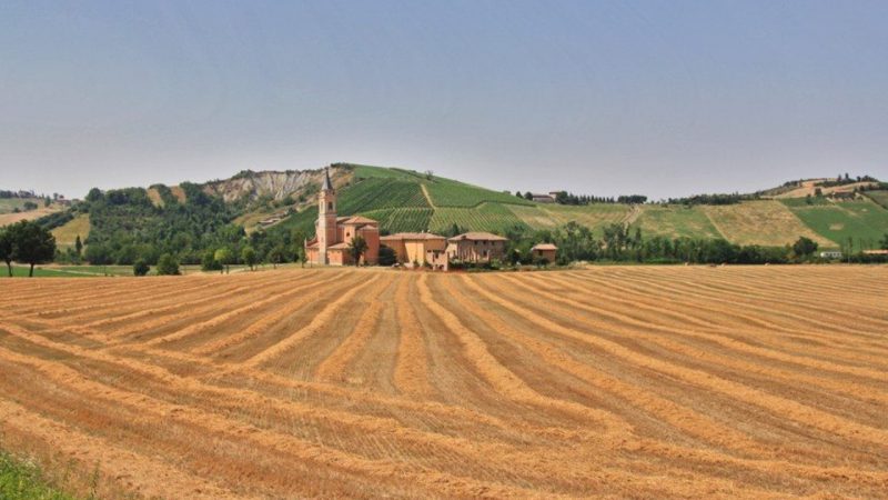 Granarolo Faentino – Faenza (RA), 16 dicembre 2022 – Incontro tecnico sul tema “Storia e futuro delle pratiche agricole nel territorio romagnolo” – Presentazioni