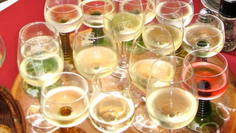 L’espansione dei vigneti e il decreto sul vino dealcolato: opportunità e sfide per il settore vitivinicolo italiano