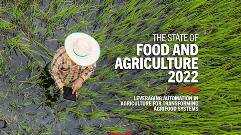 Rapporto FAO 2022: Sfruttare l’automazione agricola per trasformare i sistemi agroalimentari