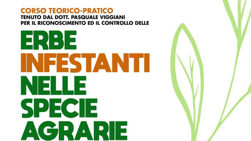 Foggia, 21-23 febbraio 2023 “Corso teorico-pratico per il riconoscimento ed il controllo delle erbe infestanti nelle specie agrarie”