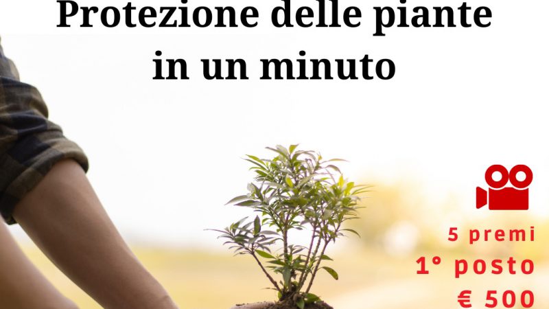 Premio AIPP – IAAS Italia per video “La protezione delle piante in un minuto”