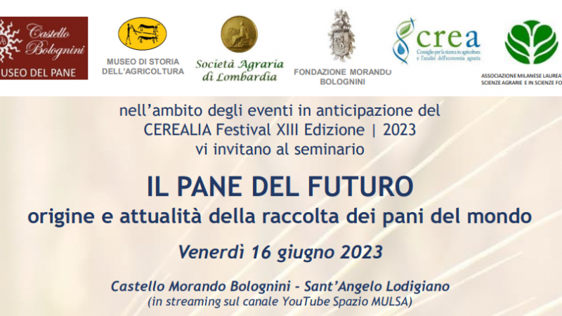 Sant’ Angelo Lodigiano (LO), 16 giugno 2023 – Seminario “Il pane del futuro. Origine e attualità della raccolta dei pani del mondo”