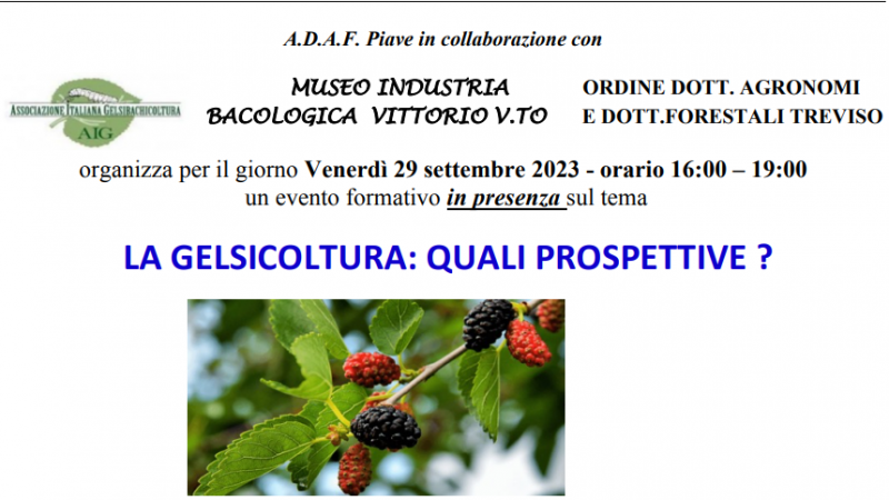 Lancenigo di Villorba (TV), 29 settembre 2023 – Evento formativo in presenza “Incontro di Studio sulle molteplici possibilità di utilizzo della pianta di gelso come coltura alternativa”