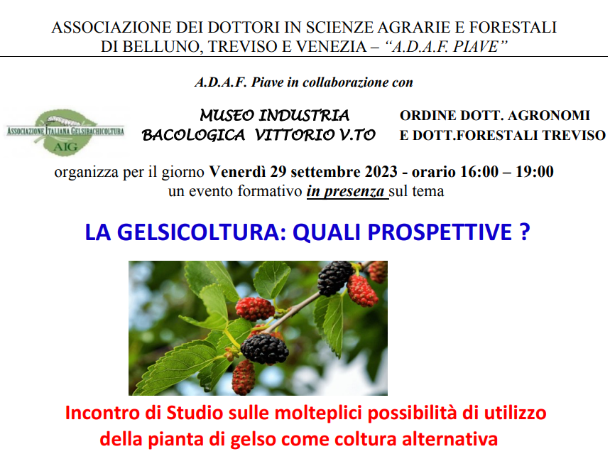 Lancenigo di Villorba (TV), 29 settembre 2023 – Evento formativo in presenza “Incontro di Studio sulle molteplici possibilità di utilizzo della pianta di gelso come coltura alternativa”