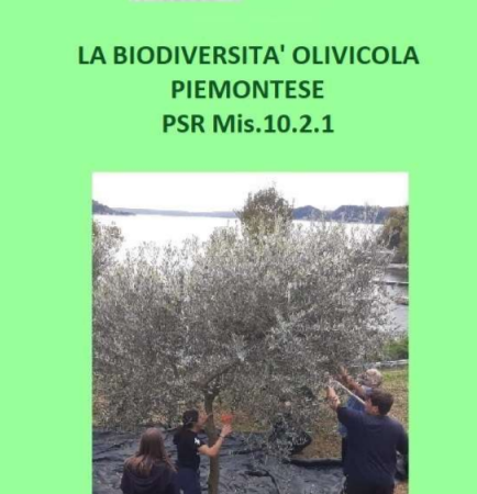 Lesa (NO), 18 novembre 2023 – Convegno “La biodiversità olivicola piemontese PSR Mis. 10.2.1”