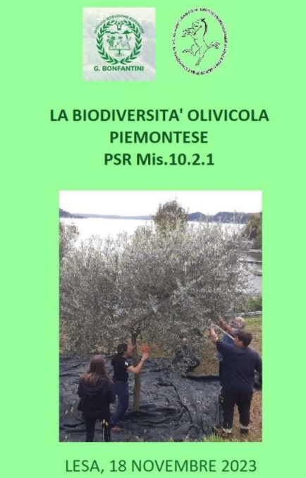 Lesa (NO), 18 novembre 2023 – Convegno “La biodiversità olivicola piemontese PSR Mis. 10.2.1”