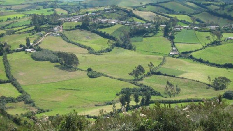 La dimensione territoriale dell’agricoltura