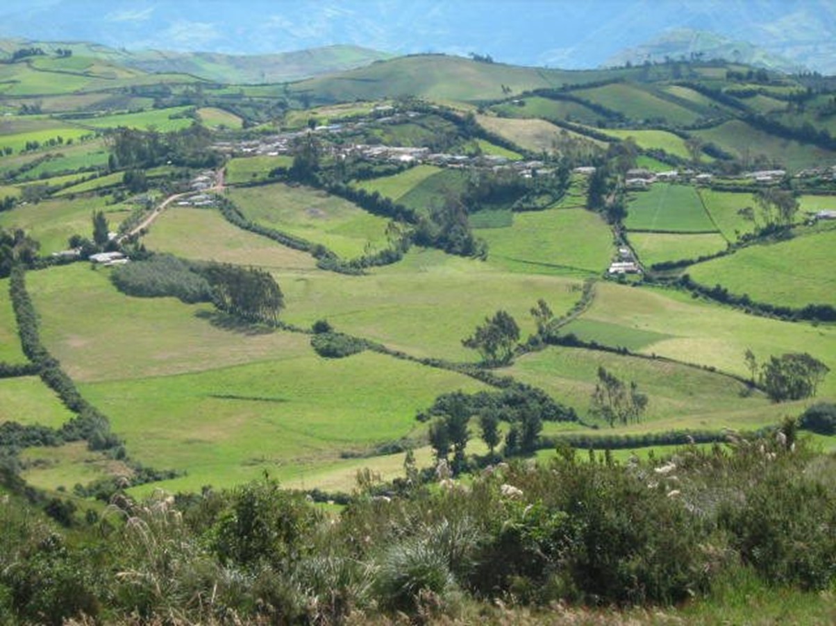 La dimensione territoriale dell’agricoltura