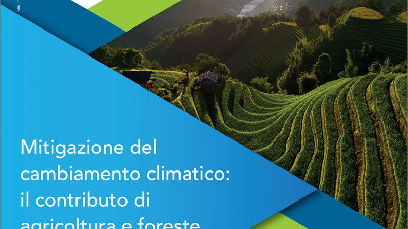 Raccolta dei contributi del convegno “Mitigazione del cambiamento climatico: il contributo di agricoltura e foreste”