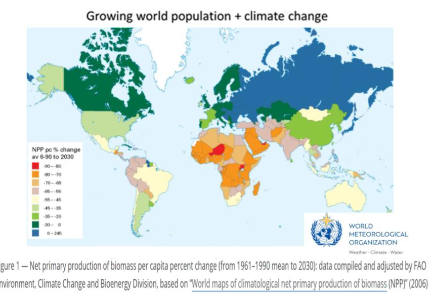 Bene il biologico ma dobbiamo sostenere l’agricoltura convenzionale