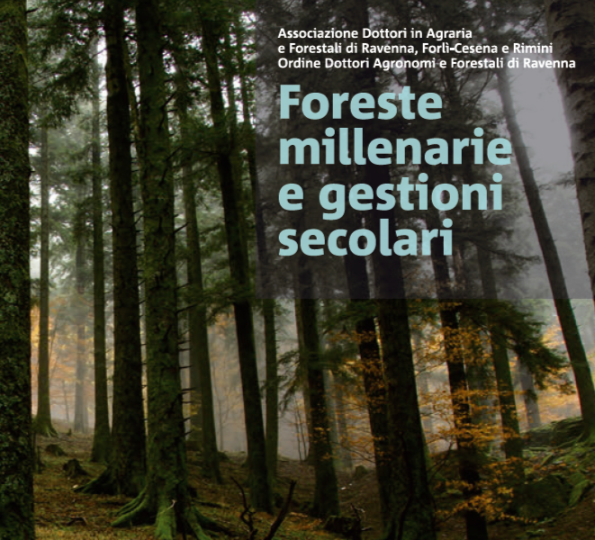 Foreste millenarie e gestioni secolari