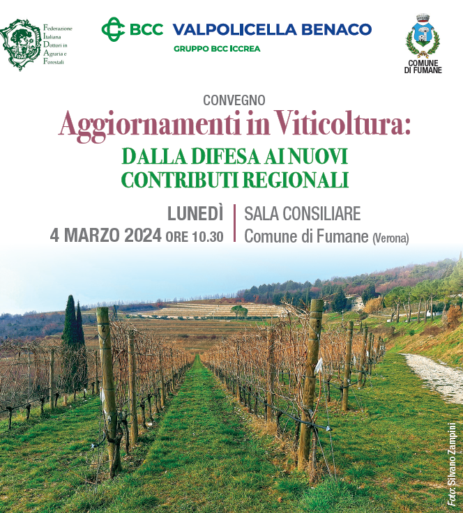 Fumane (VR), 4 marzo 2024 – Convegno “Aggiornamenti in Viticoltura: dalla difesa ai nuovi contributi regionali”