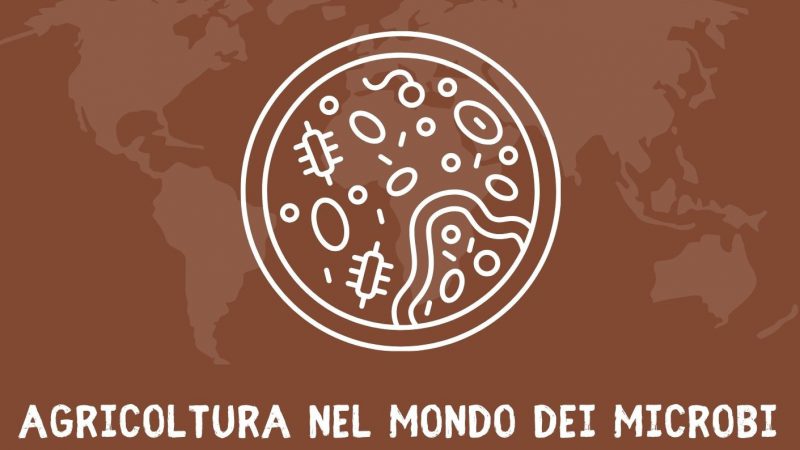 Grugliasco (TO), 6 marzo 2024 – Seminario “Agricoltura nel mondo dei microbi”