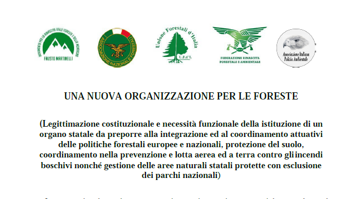 Una nuova organizzazione per le foreste