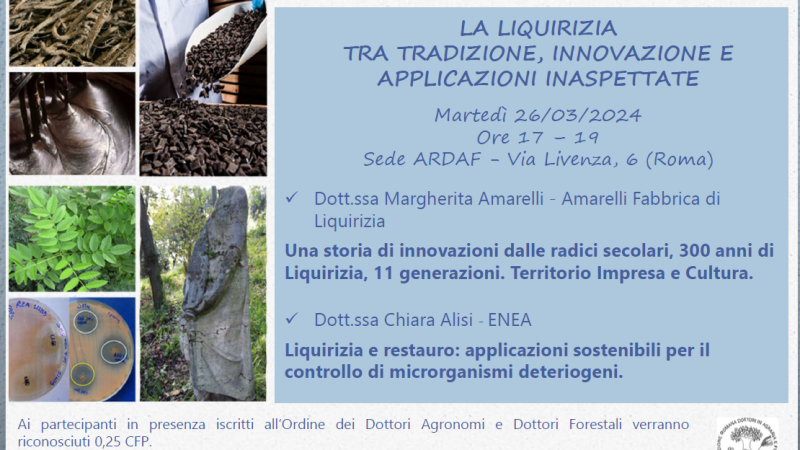 Roma, 26 marzo 2024 – Seminario “LA LIQUIRIZIA TRA TRADIZIONE, INNOVAZIONE E APPLICAZIONI INASPETTATE”