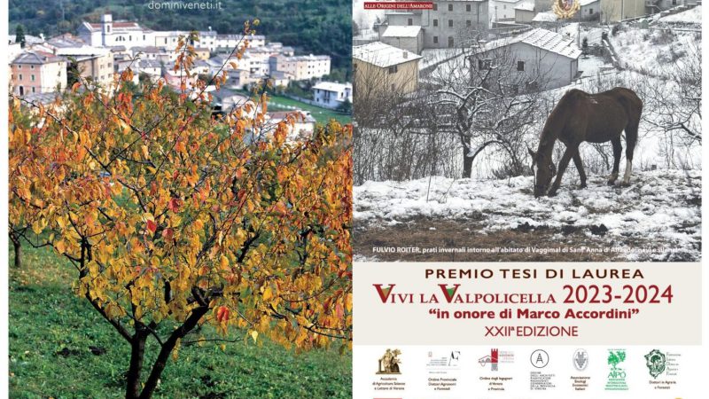 XXII Edizione del Premio per Tesi di Laurea ‘Vivi la Valpolicella’