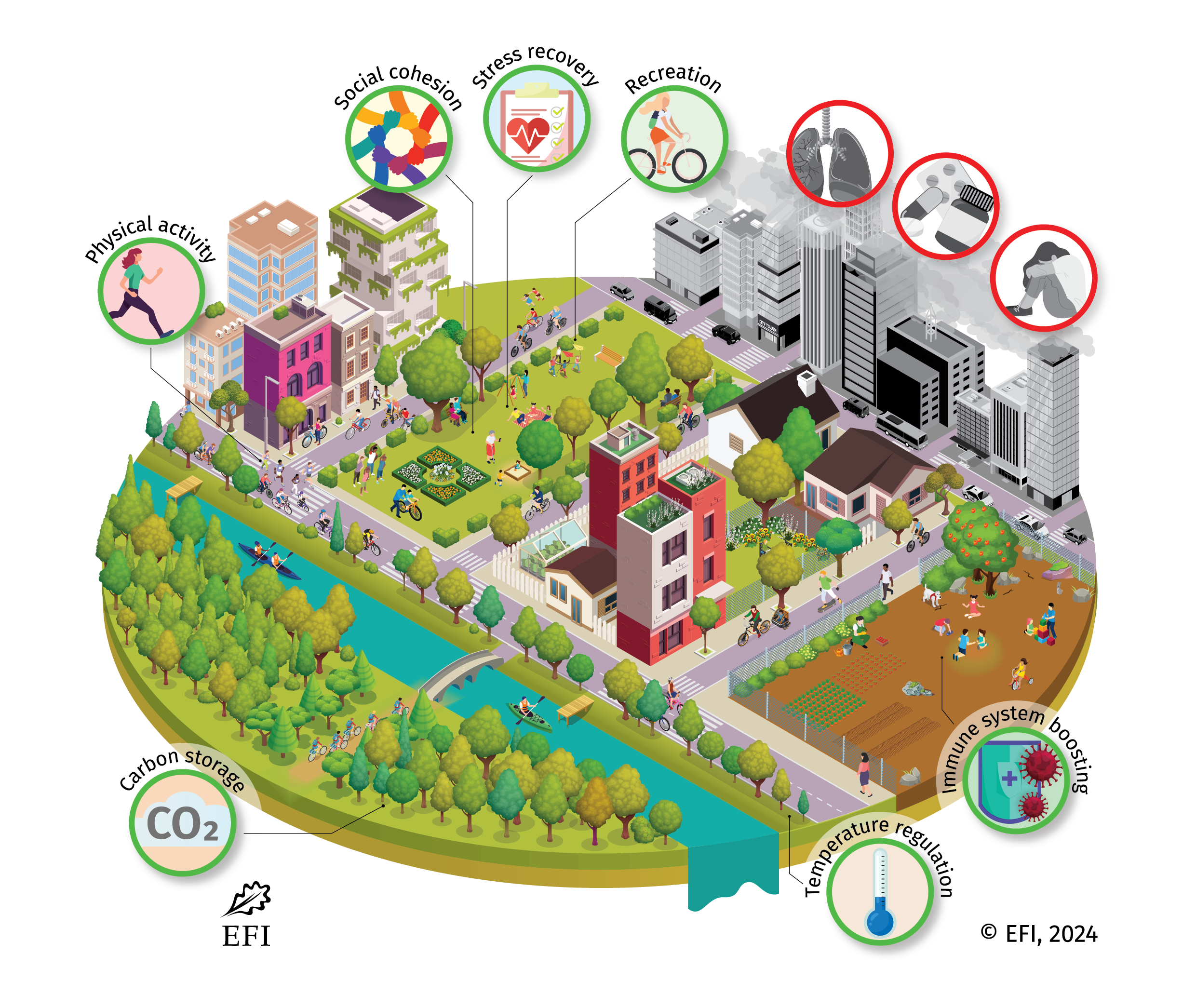 Il nuovo Policy Brief dell’Istituto Forestale Europeo (EFI) mostra come alberi e foreste urbane combattano i problemi di salute pubblica
