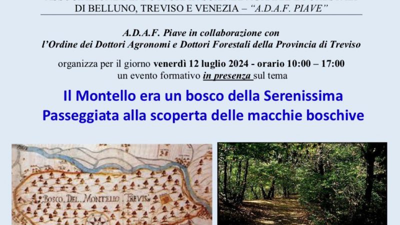 Montello (TV), 12 luglio 2024 – Evento formativo in presenza “Il Montello era un bosco della Serenissima. Passeggiata alla scoperta delle macchie boschive”