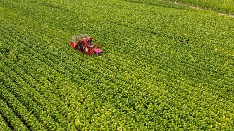 Lazio, modifiche alla legge urbanistica: semplificazioni per l’agricoltura