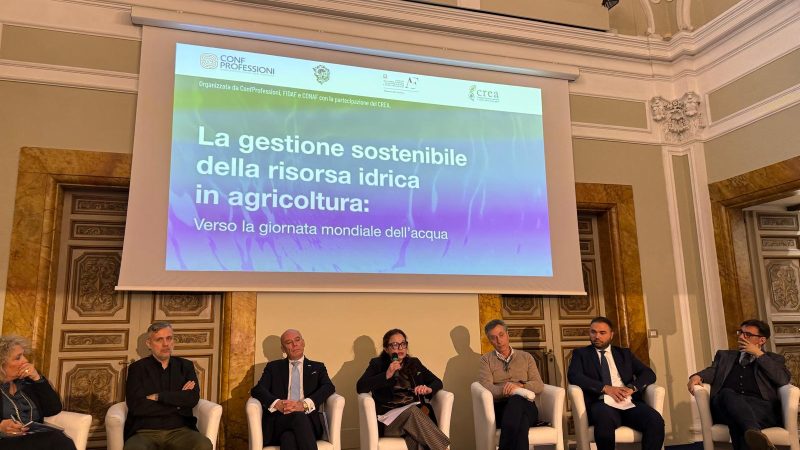 Giornata di studio 19.03.2025 “La gestione sostenibile della risorsa idrica in agricoltura: verso la giornata mondiale dell’acqua” – Presentazioni
