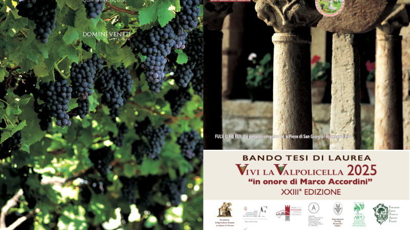 Bando Tesi di Laurea “Vivi la Valpolicella 2025”