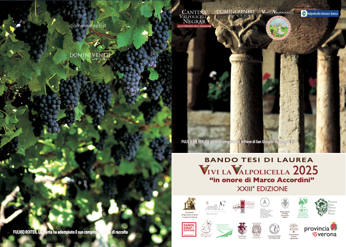 Bando Tesi di Laurea “Vivi la Valpolicella 2025”