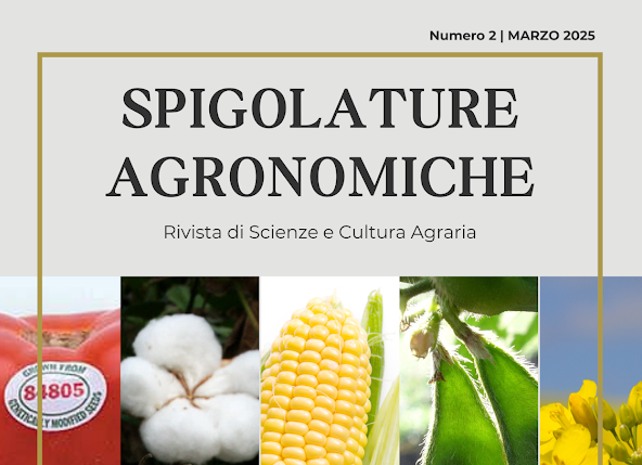 L’Unione Europea punta su innovazione, semplificazione e su un’agricoltura forte e competitiva