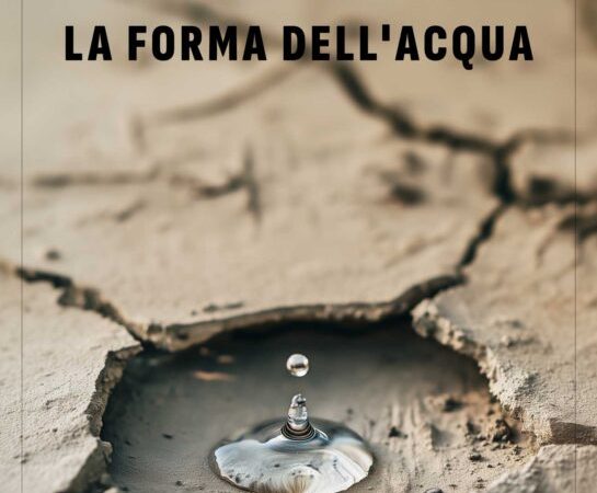 Il Libero Professionista Reloaded #33: La forma dell’acqua