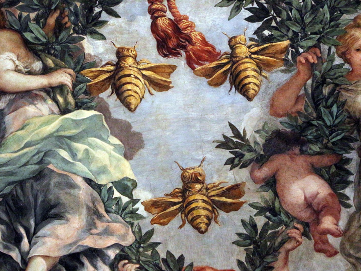 La vexata quaestio dell’estinzione delle api
