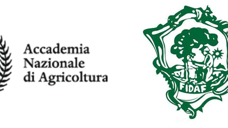 Convegno “Le priorità Agricole dell’UE per il 2024-2029″: pubblicata la sintesi delle relazioni sugli Annali 2024 dell’ANA