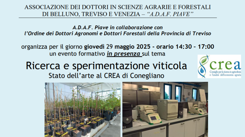 Susegana (TV), 29 maggio 2025 – “Ricerca e sperimentazione viticola. Stato dell’arte al CREA di Conegliano.”