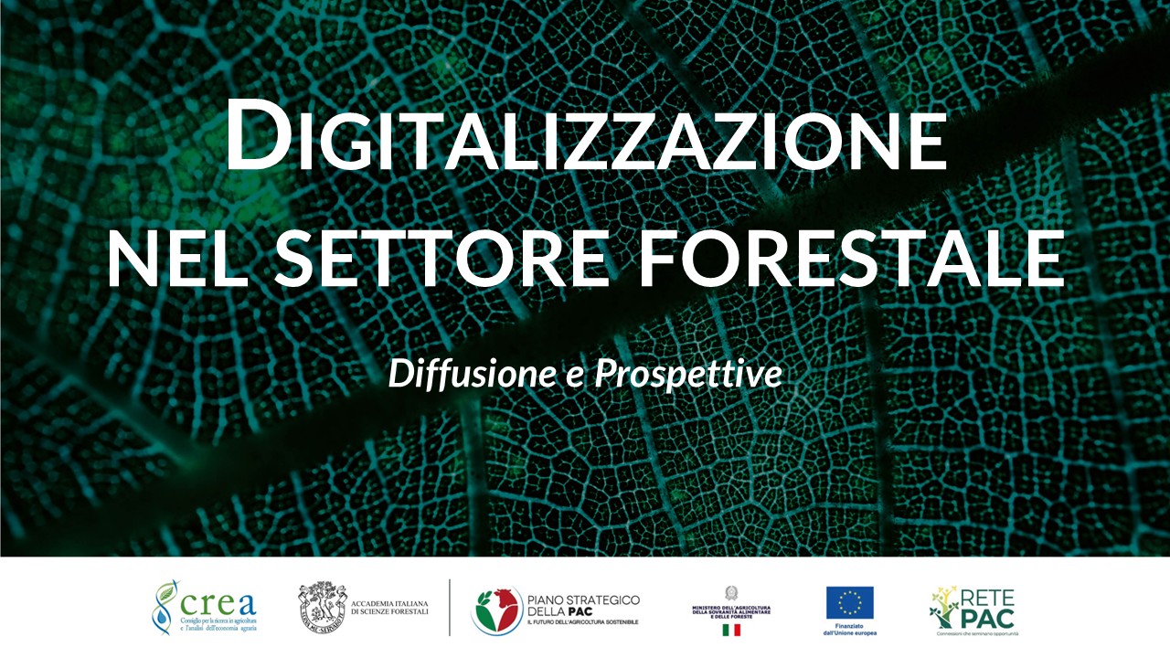 Digitalizzazione e foreste: strumenti innovativi per una gestione sostenibile e questionario online