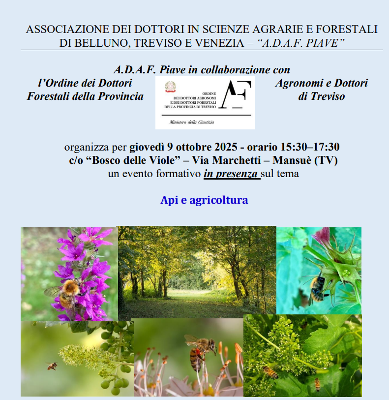 Mansuè (TV), 9 ottobre 2025 – Evento formativo “Api e agricoltura”
