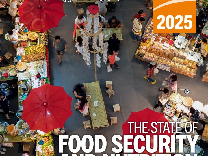 Stato globale della sicurezza alimentare e della nutrizione