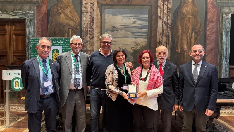 15° Cerealia Festival – Edizione 2025 – Convegno 28.10.2025 “CONNESSIONI CITTÀ-CAMPAGNA e pianificazione del territorio nella regione Mediterranea”