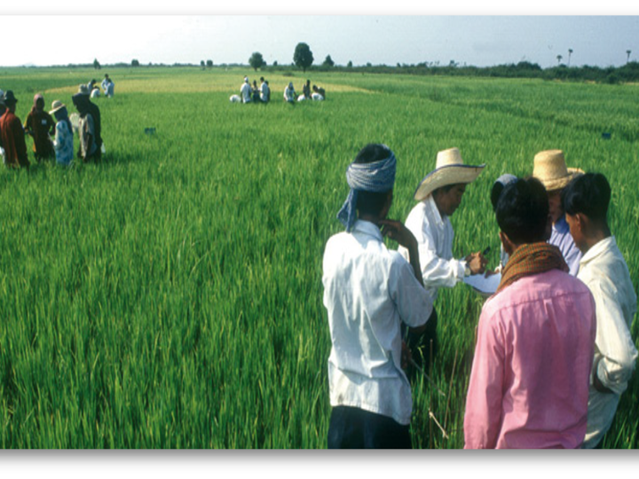 Saper comunicare, saper interagire: il settore agroalimentare all’incrocio delle competenze ed il ruolo del dottore agronomo