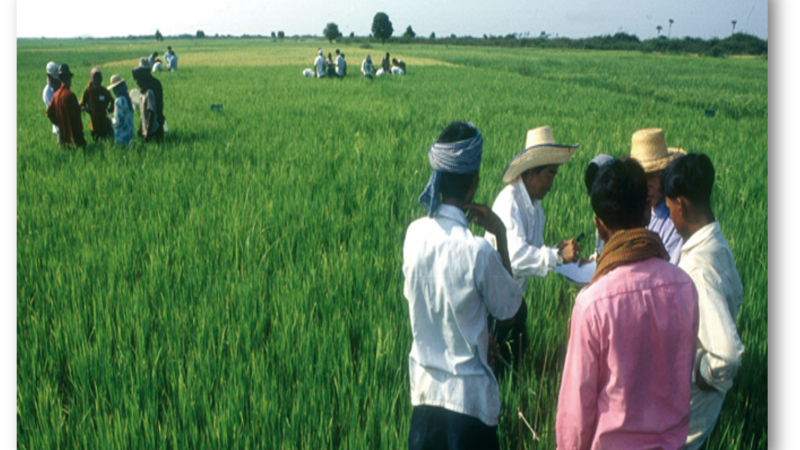 Saper comunicare, saper interagire: il settore agroalimentare all’incrocio delle competenze ed il ruolo del dottore agronomo