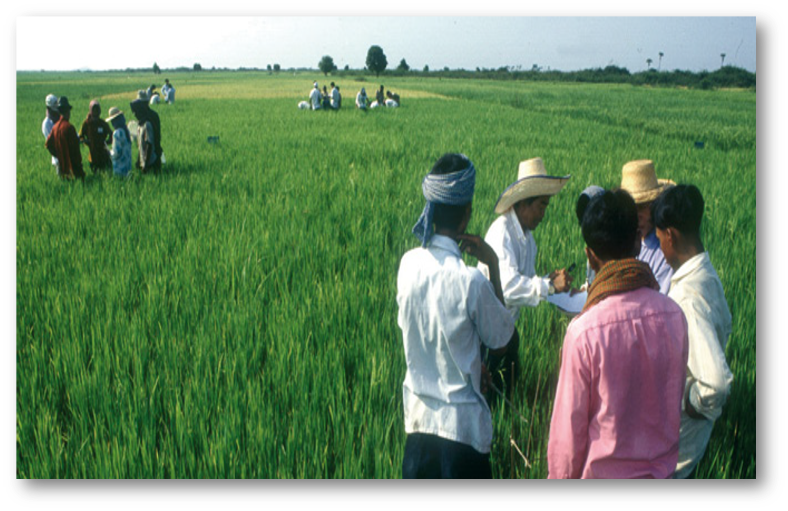 Saper comunicare, saper interagire: il settore agroalimentare all’incrocio delle competenze ed il ruolo del dottore agronomo