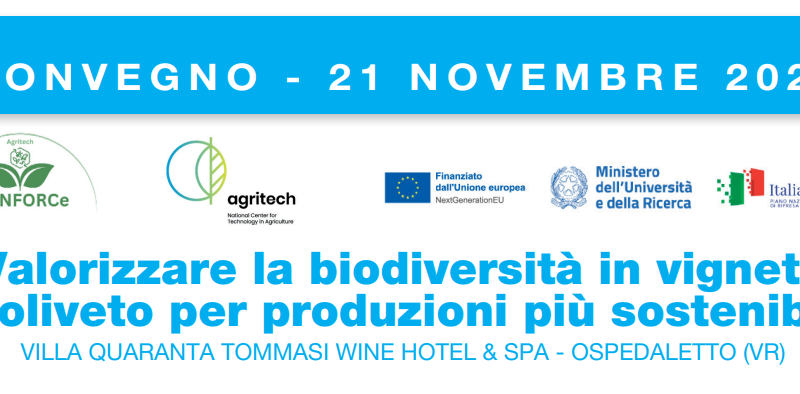 Ospedaletto (VR), 21 novembre 2025 – Convegno “Valorizzare la biodiversità in vigneto e oliveto per produzioni più sostenibili”