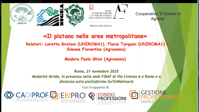 Venerdì Culturale 21.11.2025 “Il platano nelle aree metropolitane” – Presentazioni