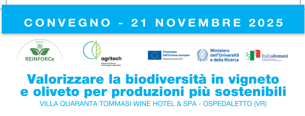 Ospedaletto (VR), 21 novembre 2025 – Convegno “Valorizzare la biodiversità in vigneto e oliveto per produzioni più sostenibili”