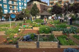 La ruralità urbana e peri-urbana come motore di sviluppo economico compatibile