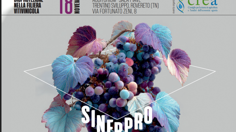 Rovereto (TN), 18 novembre 2025 – SINEPRO – “Sinergie di bioprotezione nella filiera vitivinicola”